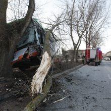 Kraupi avarija Klaipėdoje: autobusas rėžėsi į medį, sužeisti keleiviai