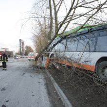 Kraupi avarija Klaipėdoje: autobusas rėžėsi į medį, sužeisti keleiviai