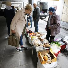 Pajūrio grybautojai liūdi