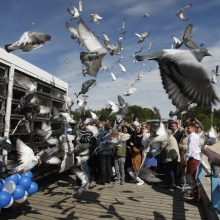 Nuo Palangos tilto į orą pakilo 2019 balandžių