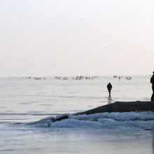 Žūklės malonumai – ant Kuršių marių ledo