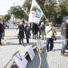 Klaipėdos žalieji dėl medžių kirtimo tikisi susitikti su S. Skverneliu