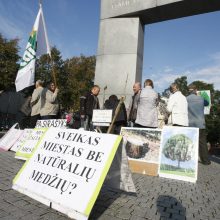 Klaipėdos žalieji dėl medžių kirtimo tikisi susitikti su S. Skverneliu