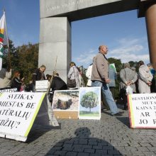 Klaipėdos žalieji dėl medžių kirtimo tikisi susitikti su S. Skverneliu