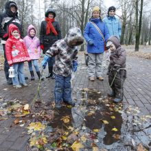 Klaipėdą sušildė žibintų šviesa