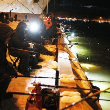 Stintų žvejyba uostamiestyje – „ant bangos“