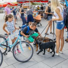 Tarptautinei benamių gyvūnų dienai – simbolis žygis ir piknikas prie jūros