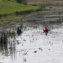 Tarptautinė akcija atskleidė, kas šiukšlina Kauną