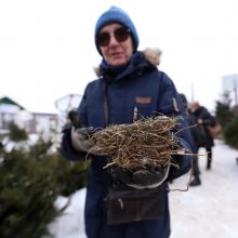 Tikros eglutės paieškos: reikia pigesnės, gražios ir talpinančios daug dovanų