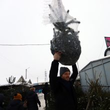 Tikros eglutės paieškos: reikia pigesnės, gražios ir talpinančios daug dovanų