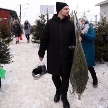 Tikros eglutės paieškos: reikia pigesnės, gražios ir talpinančios daug dovanų