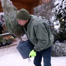 Tikros eglutės paieškos: reikia pigesnės, gražios ir talpinančios daug dovanų