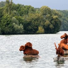 „Lipantiems iš vandens“ lietus nepakenkė