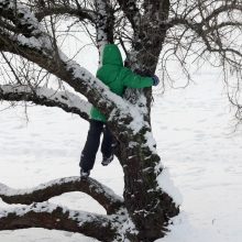 Aktyvūs kauniečiai: žiemai priekaištų neturime