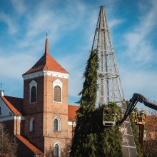 Kalėdinė eglutė Kauno Rotušės aikštėje įgauna formą