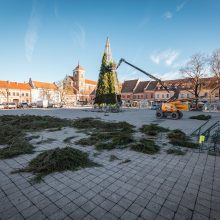 Kalėdinė eglutė Kauno Rotušės aikštėje įgauna formą