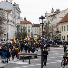 Lietuvos jaunimas Vasario 16-ąją mini eisenoje simboliniu valstybės keliu