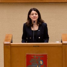 A. Anušauskas ir M. Navickienė nesieks tapti TS-LKD kandidatais į prezidentus