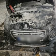 Vilniuje užsiliepsnojo automobilis