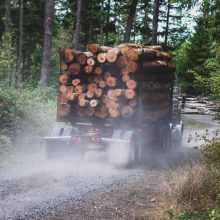 Šakių rajone per susidūrimą su miškavežiu nukentėjo lengvojo automobilio vairuotojas