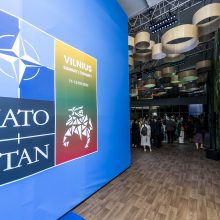 NATO viršūnių susitikimas Vilniuje: nuo prezidentų iki maisto ragautojų