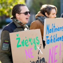 Parlamentarai neįteisino naktinių taikiklių šernams medžioti, bet galutinis priėmimas įstrigo