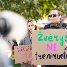 Parlamentarai neįteisino naktinių taikiklių šernams medžioti, bet galutinis priėmimas įstrigo