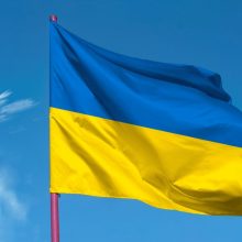 Ukraina: du Gynybos ministerijos pareigūnai įtariami grobstymu