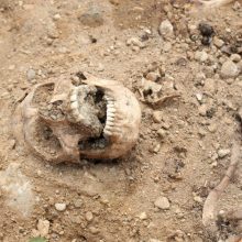 Kauno rajono miške rasta žmogaus kaukolė