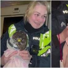 Policijos pareigūnė išgelbėjo į nelaimę patekusį suopį