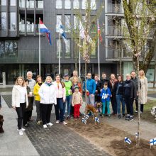Vilniuje pasodintos sakuros už taiką ir laisvę