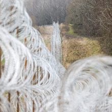 VSAT: pasienyje su Baltarusija apgręžta 20 migrantų