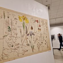 Pirmosios Klaipėdos kultūrų komunikacijos centro parodos – jau atidarytos