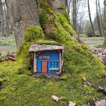Botanikos sode kuriasi „Dėdės Gedo elfų“ kaimelis
