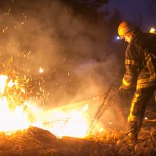 Miškuose fiksuojamas išaugęs gaisringumas, didžiausias pavojus – Druskininkų regione