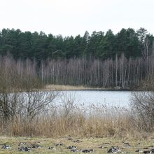 Vandens telkinyje rastas vyro kūnas su nubrozdinimais