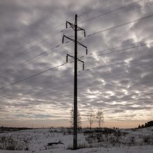 I. Šimonytė: derybos su švedais dėl elektros viršpelnių gali trukti metų metus
