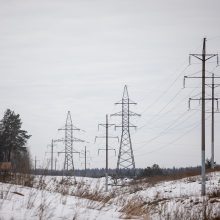 Energetikos viceministrė: elektros tiekėjai turėtų kuo greičiau reaguoti į pokyčius biržoje