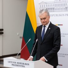 Valdantieji nevieningi dėl G. Nausėdos veto, nuomonių skirtumai – ir opozicijoje