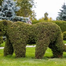 Savamokslių sodininkų duetas Babtuose kuria žaliąjį zoologijos sodą