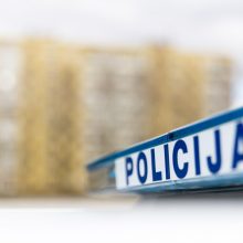 Panevėžio apylinkių vagys „pasidarbavo“: du automobiliai liko be ratų