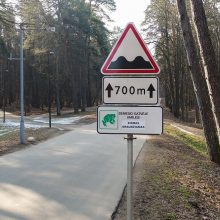Prasidėjus varliagyvių migracijai – eismo ribojimai Vingio parke
