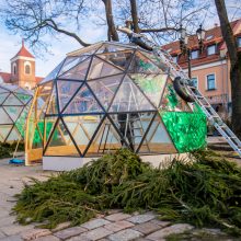 Kaunas atsisveikina su drugeliais puošta kalėdine egle