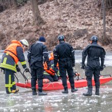 Garliavos parko tragedija: paaiškėjo, kas nutiko gimtadienį užsišventusiam emigrantui