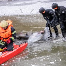 Garliavos parko kriminalas – taip pat su norvegiška uodega?