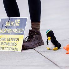 Tėvų protestas Kaune: „Ar aukosi savo vaiką eksperimentinei vakcinai?“