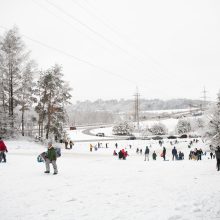 Profesorius apie COVID-19 ir čiuožinėjimą nuo kalniukų: ar tai kelia grėsmę?