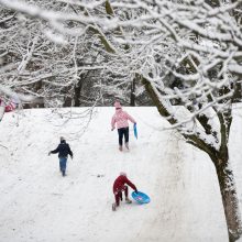 Profesorius apie COVID-19 ir čiuožinėjimą nuo kalniukų: ar tai kelia grėsmę?