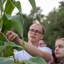 Naktinės drugelių paieškos Šilainiuose