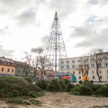 Rotušės aikštėje ryškėja kalėdinės Kauno eglės kontūrai